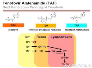 人生如夢(mèng)的DR2 吉利德為何為HIV新藥動(dòng)用第二張?zhí)靸r(jià)優(yōu)先審評(píng)券？